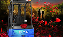 不止七夕，但愿朝夕